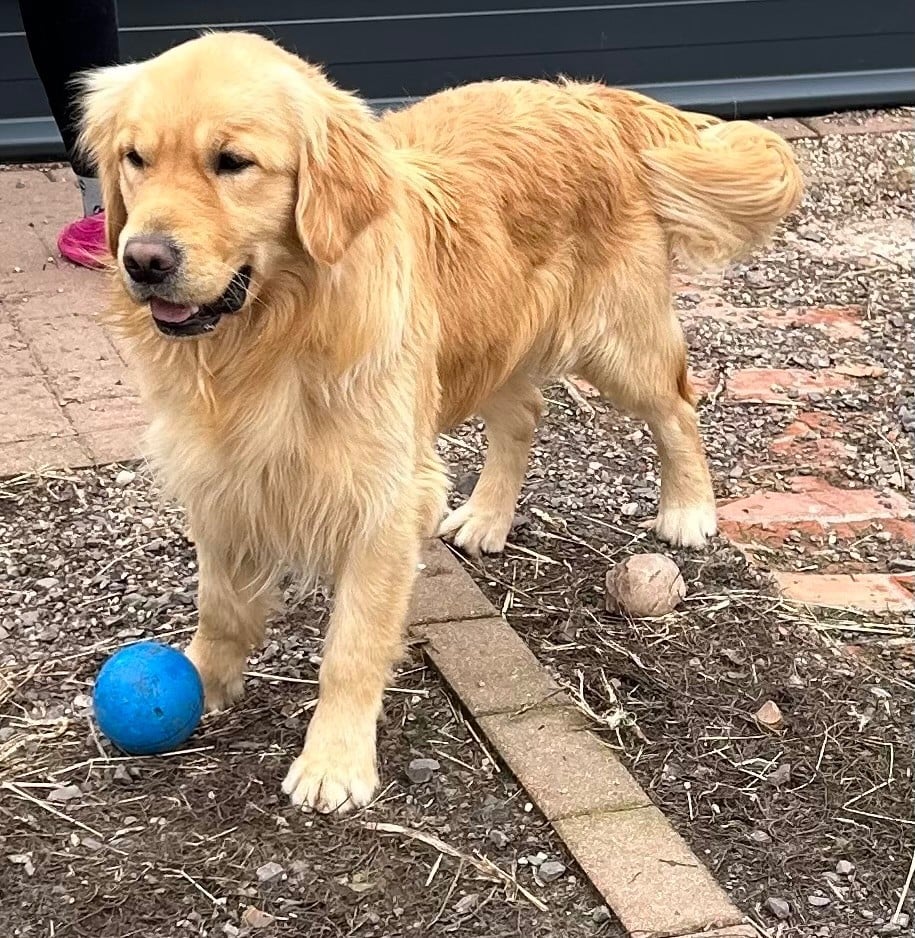 Publication : de la douce folie 