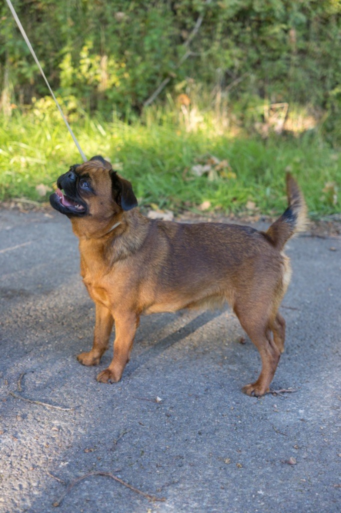 Publication : Du Domaine De Lorien 