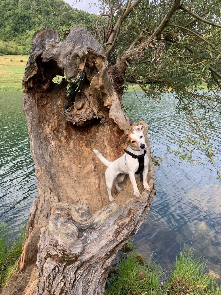 Publication : Domaine De La Vallee Du Petit Morin Auteur : Cristaline SIES