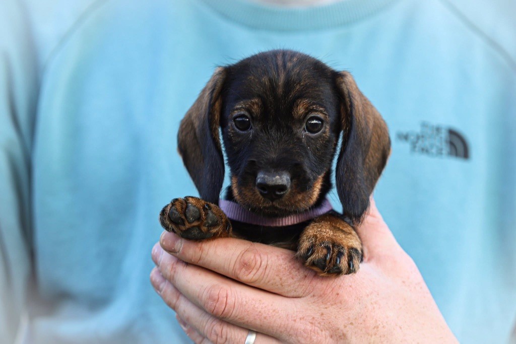 Publication : Au Domaine D’Osaki 