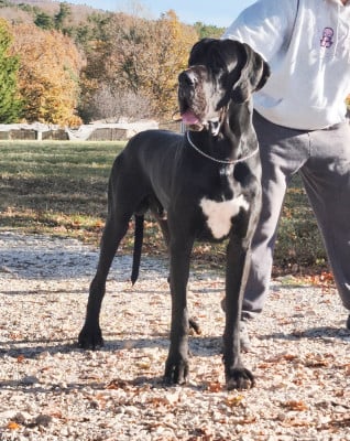 Oyametepek Dell'alto Feudo