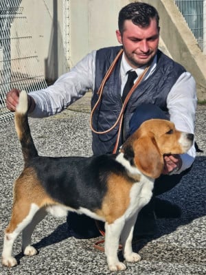 TURN AROUND Des Courants De La Selle