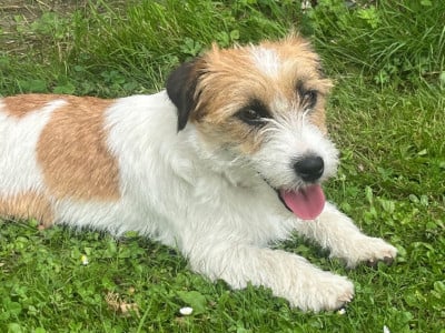 Urrugne des Gerveilles Du pic d'arbizon