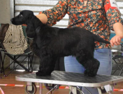 image de Valalla du Rieu Grand