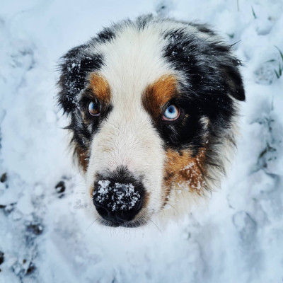 Pandora's box du chemin des korrigans