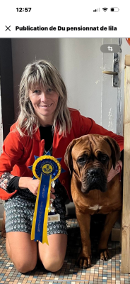 Étalon Dogue de Bordeaux - Uperla Titre Initial