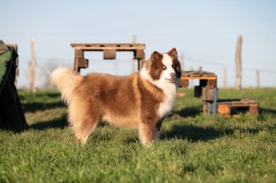 CH. VALAR MORGHULIS De l eden des shokou