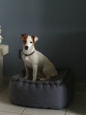 VERONNE de la pinkinerie