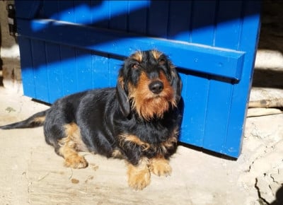 Ulya Des Plaines De Valinor Titre Initial