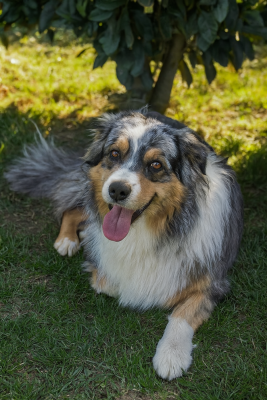 Tom tears of the baikal flow tom