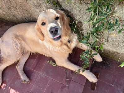 TOSCANE DE LA SOURCE DE MEYRONNE