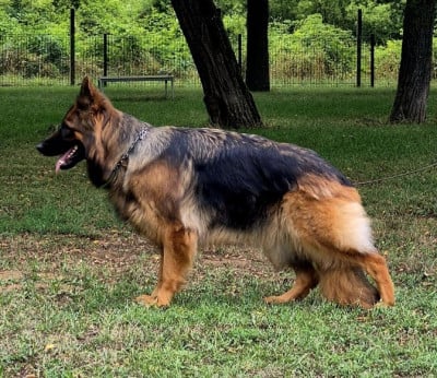 Taîssa du domaine de Locus