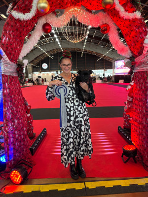 Étalon Staffordshire Bull Terrier - VICTORIA S SECRET of the original pit spirit