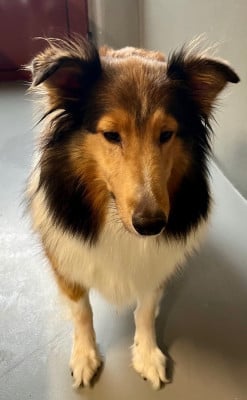 Passion Des Sentiers du Perche