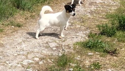 Rimmel of Spirit Mountain