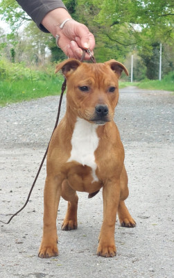 VIDEO GAMES De karysha