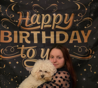 Étalon Bichon Frise - Réva Love domaine des pins d'aurécanie