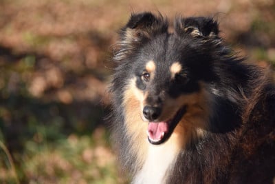 image de Under the stars