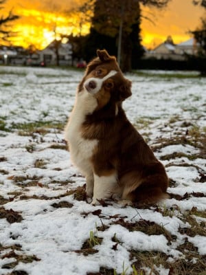 Red Riding Hood du chemin des korrigans