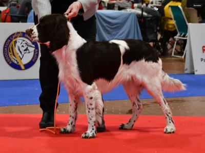 image de U2 De L Arche D urck