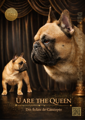 U are the queen Des éclats De Cassiopée