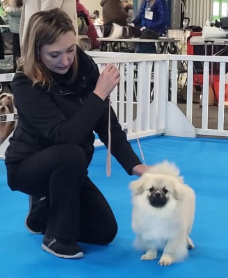 Vishnou des terres de bourguenailles