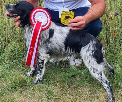 OSCAR Des Rencontres du Faveri