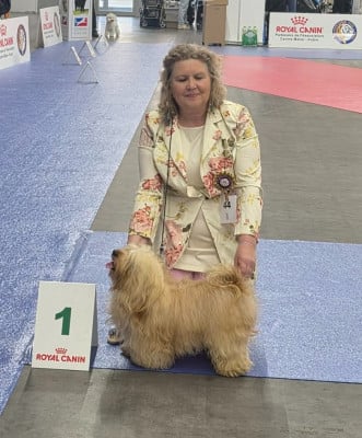 Violon d'ingres Du Buisson De La Passée