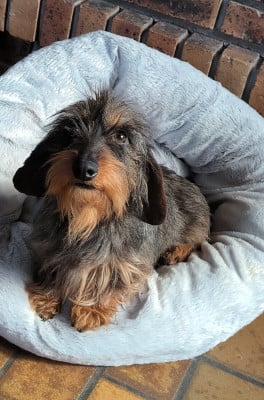 U'Mirza (Sans Affixe)