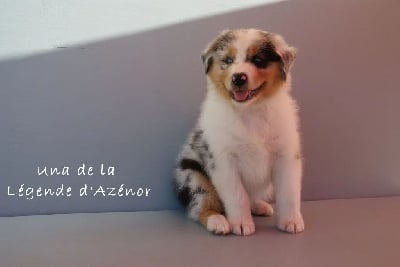 Una De La Légende D'Azénor