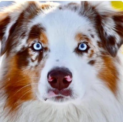 image de Really happy