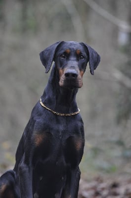 image de Rebecca roanka