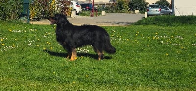 Sunny Des leus altiers