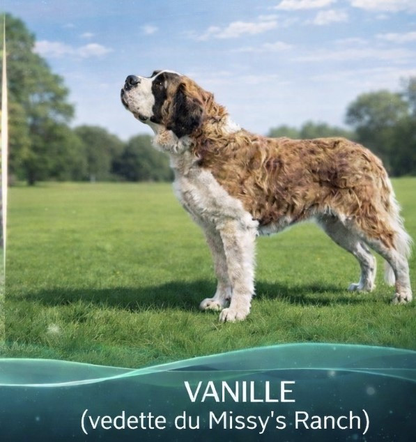 Publication : Du domaine de l'evasion 