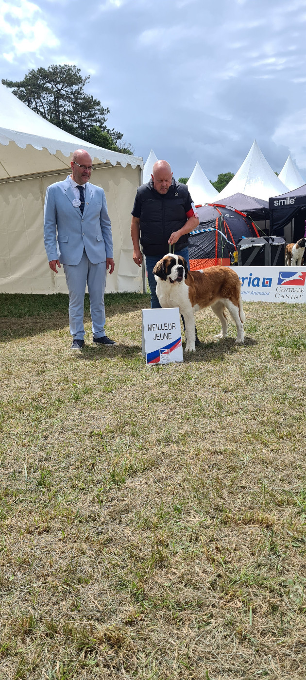 Publication : Du domaine de l'evasion 