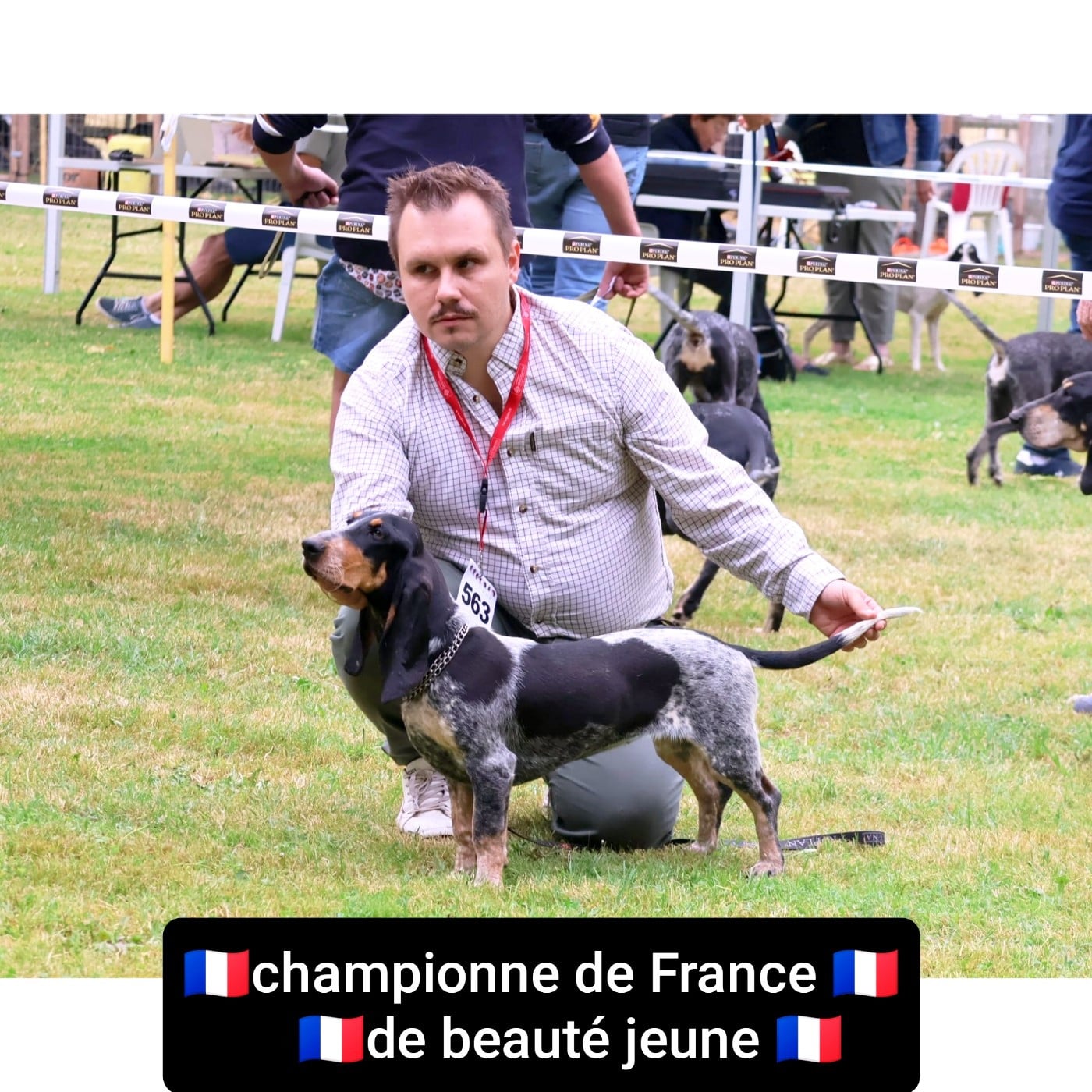 Publication : Du Clos De Brignagues Auteur : Adrien Arnaud