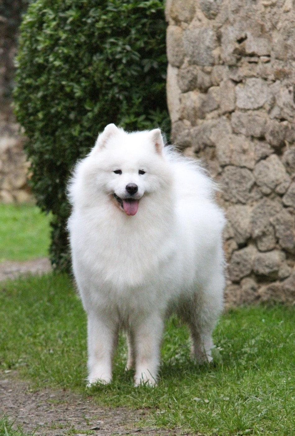 Publication : du val danton 