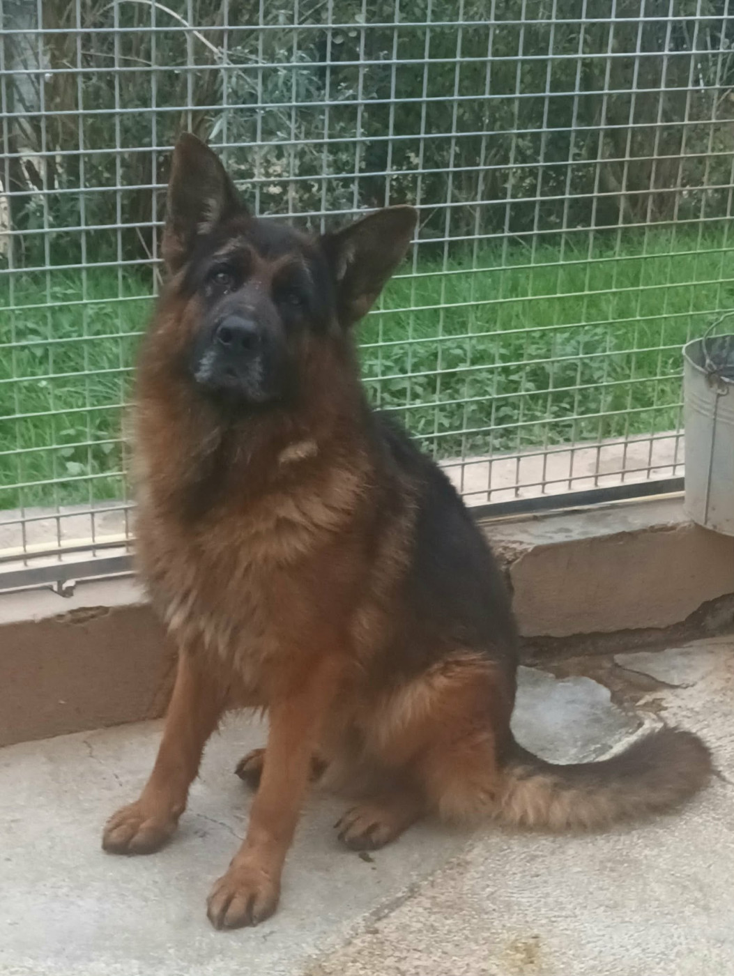 Publication : de la chante Oiseaux