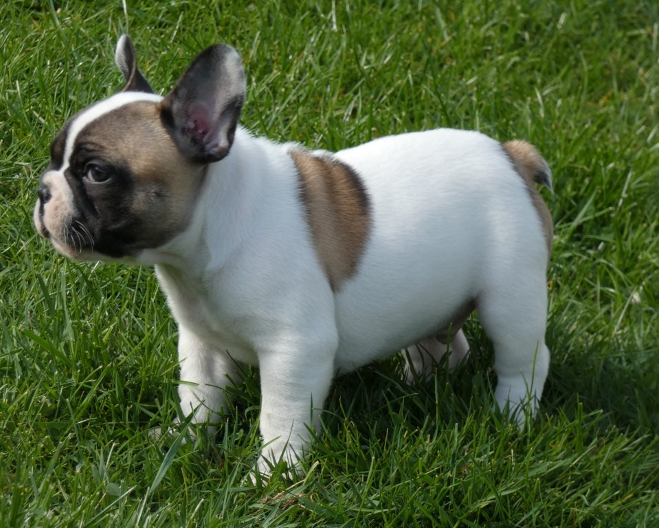 Publication : Kelly BOUVIEZ