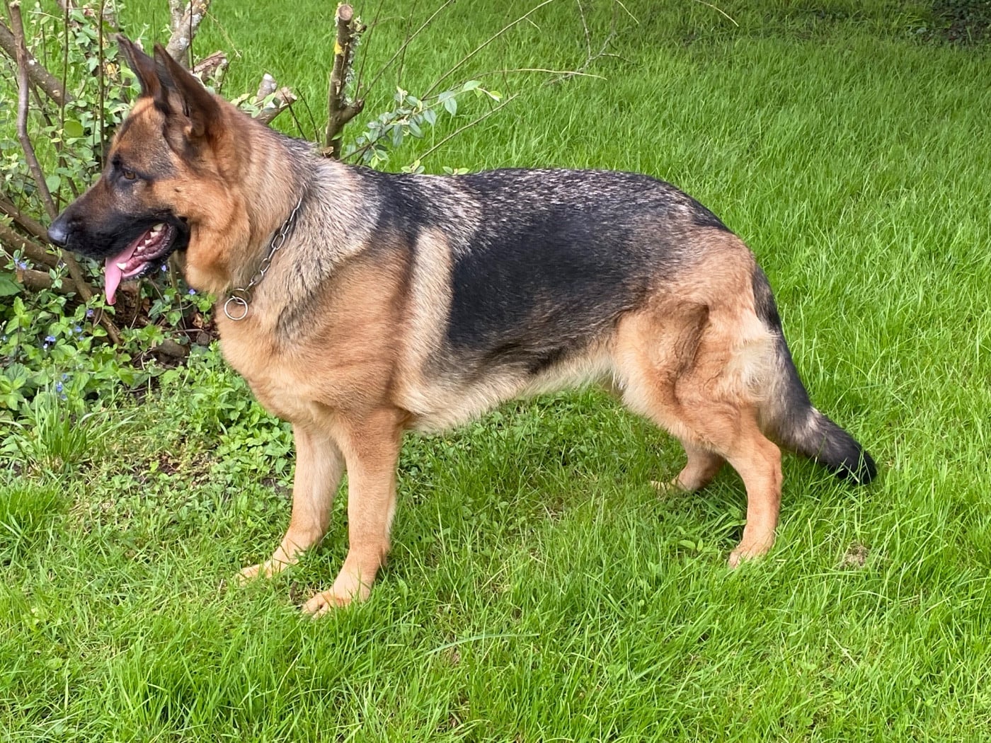 Publication : Feeling Cottage