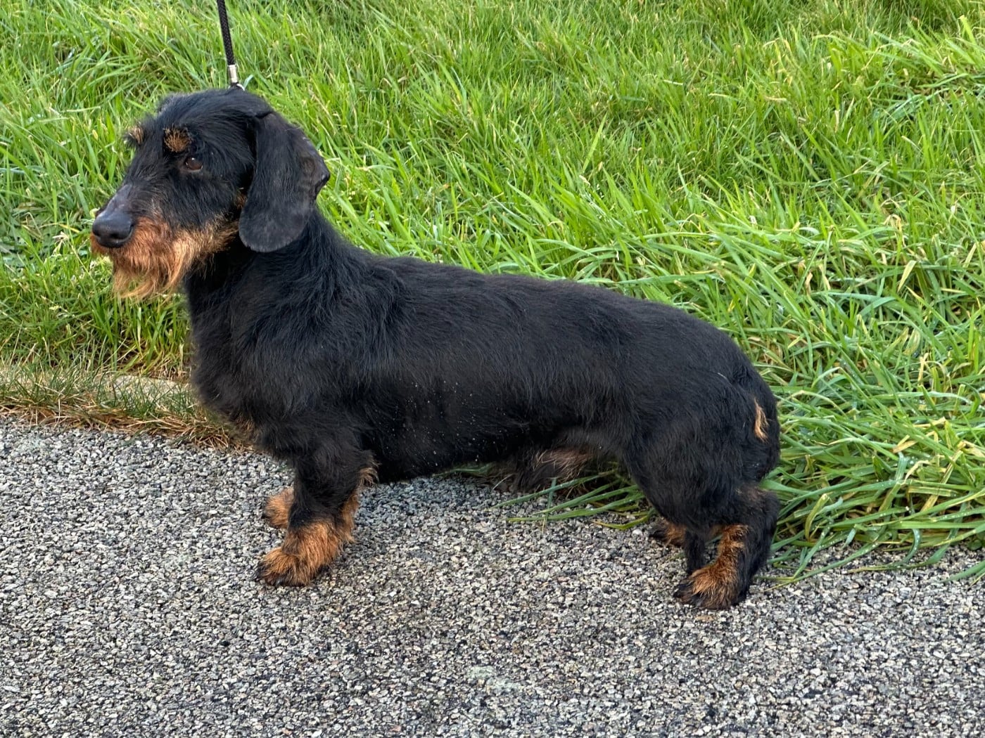 Publication : de ker ki douar 