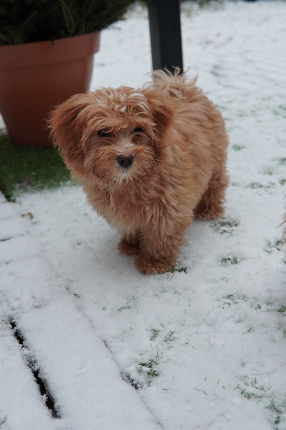 Publication : Des Reflets Du Pays Des Sources 