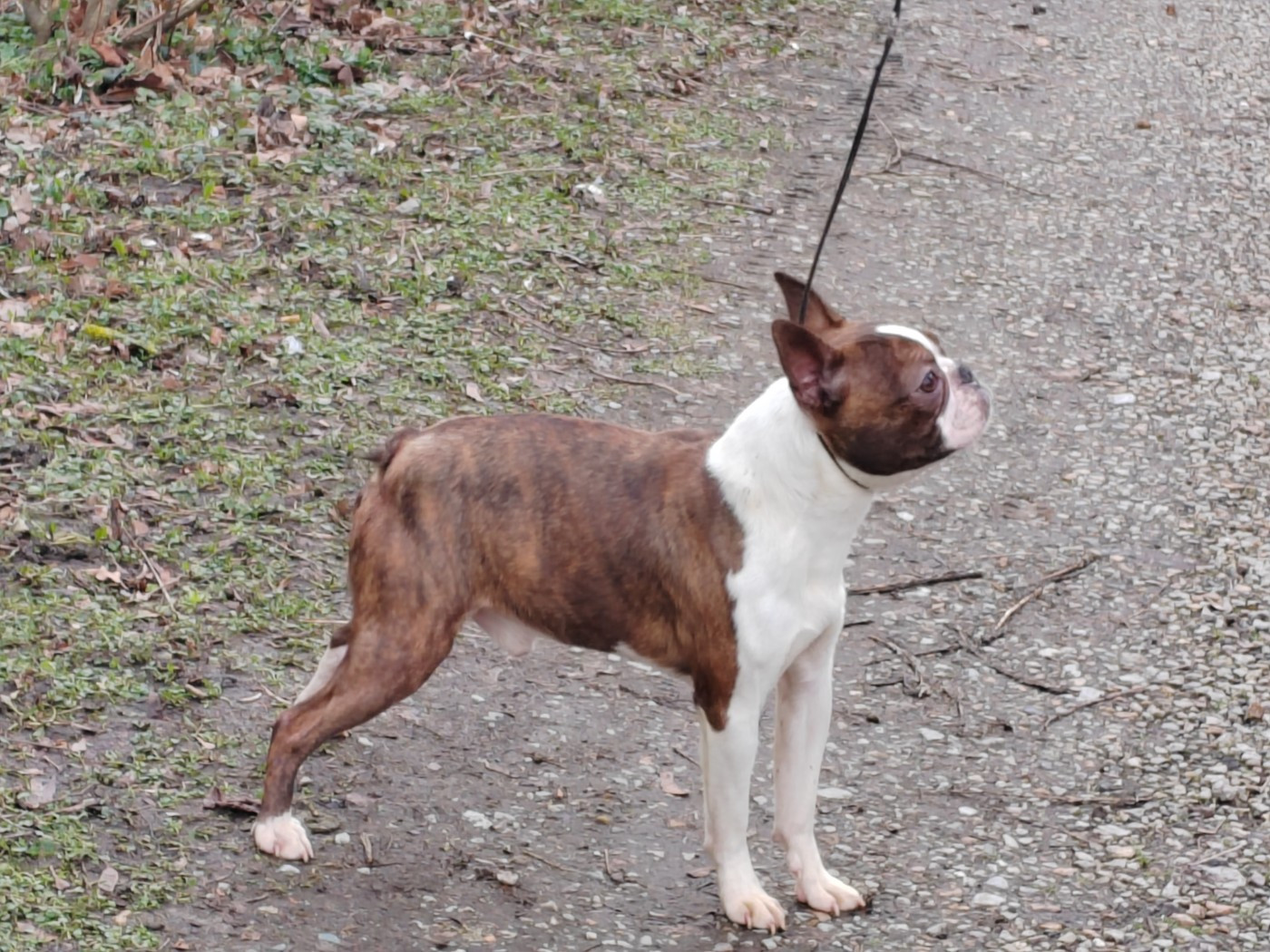 Publication : Du grand fresnoy