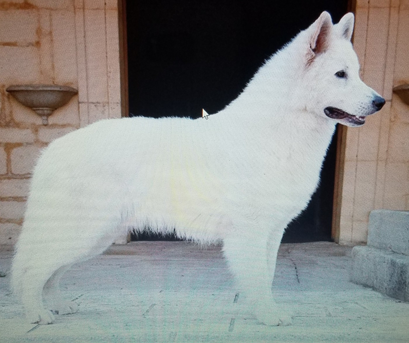 Publication : De La Légende Boréale 