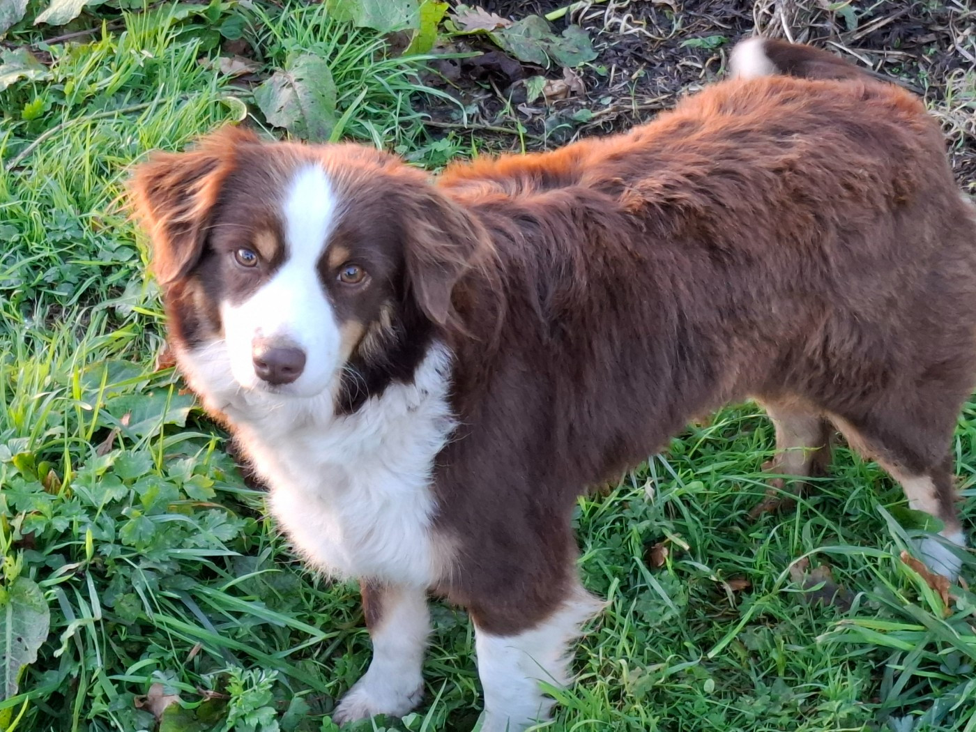 Publication : (Sans Affixe) 