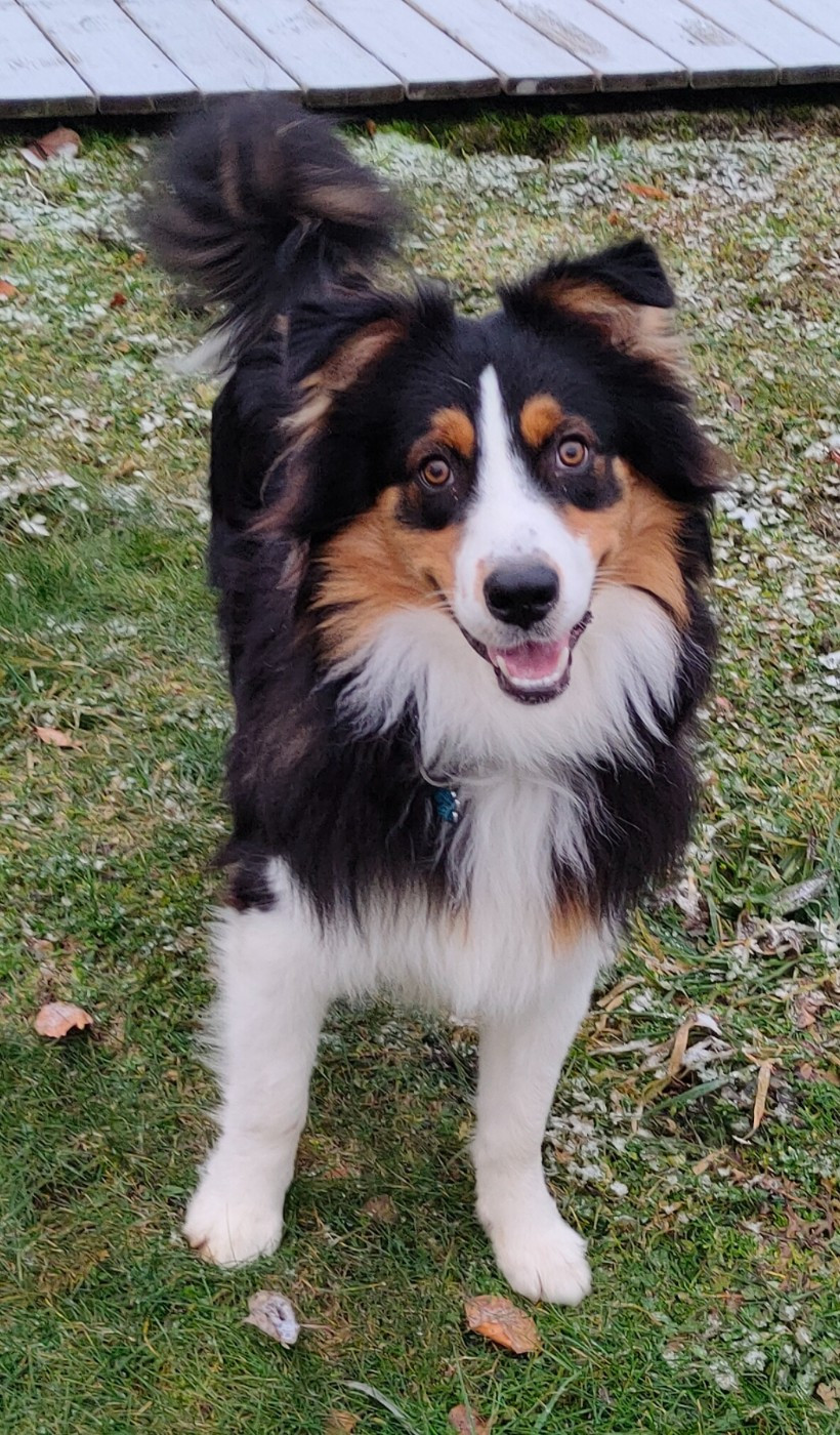 Publication : (Sans Affixe) 