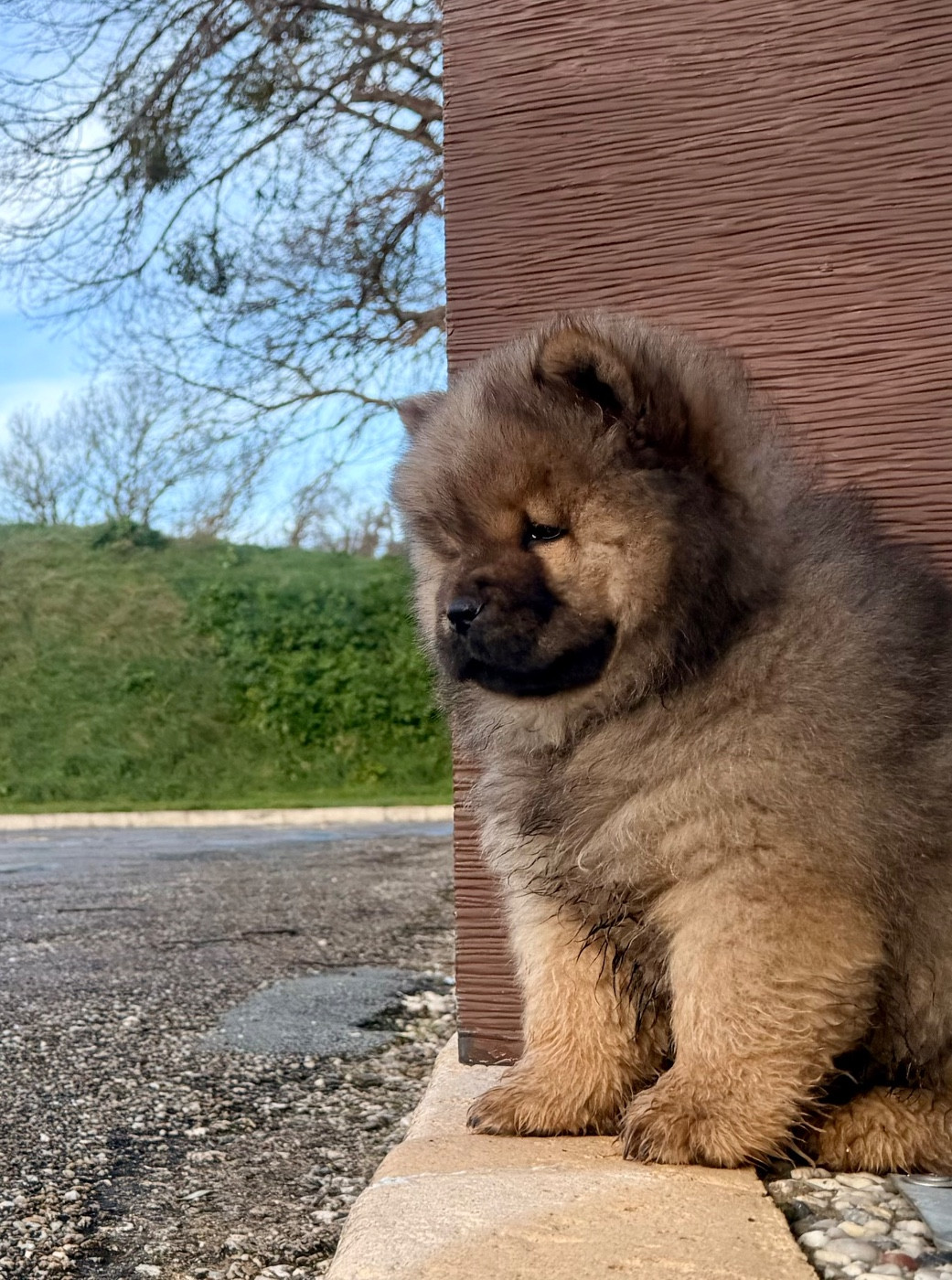 Publication : Des P’tits Grains De Sel Auteur : Élevage des p tits Grains de Sel