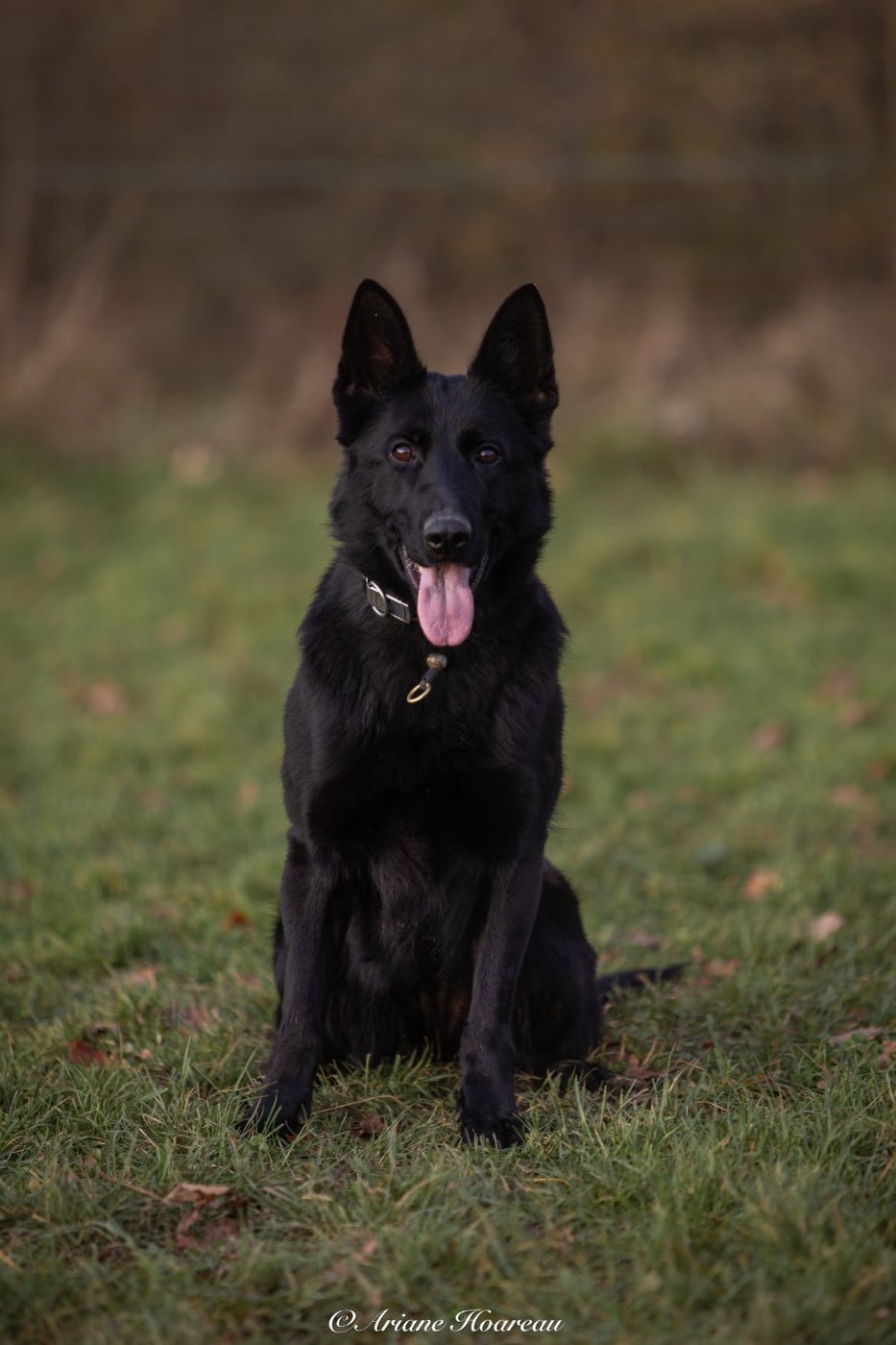 Publication : Du normont