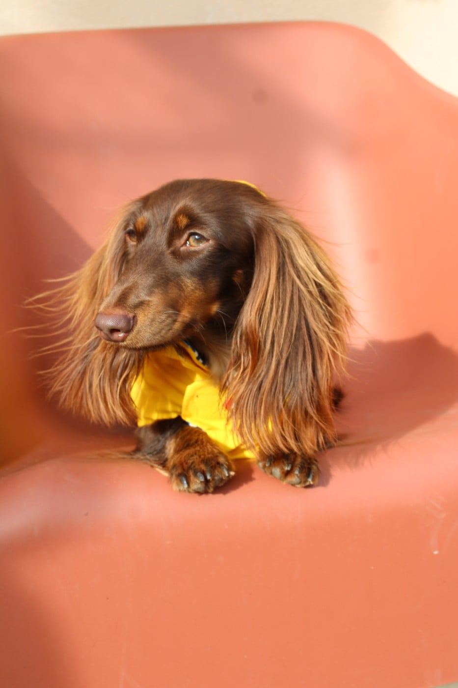 Publication : du domaine de luard Auteur : F. BUSSIERE