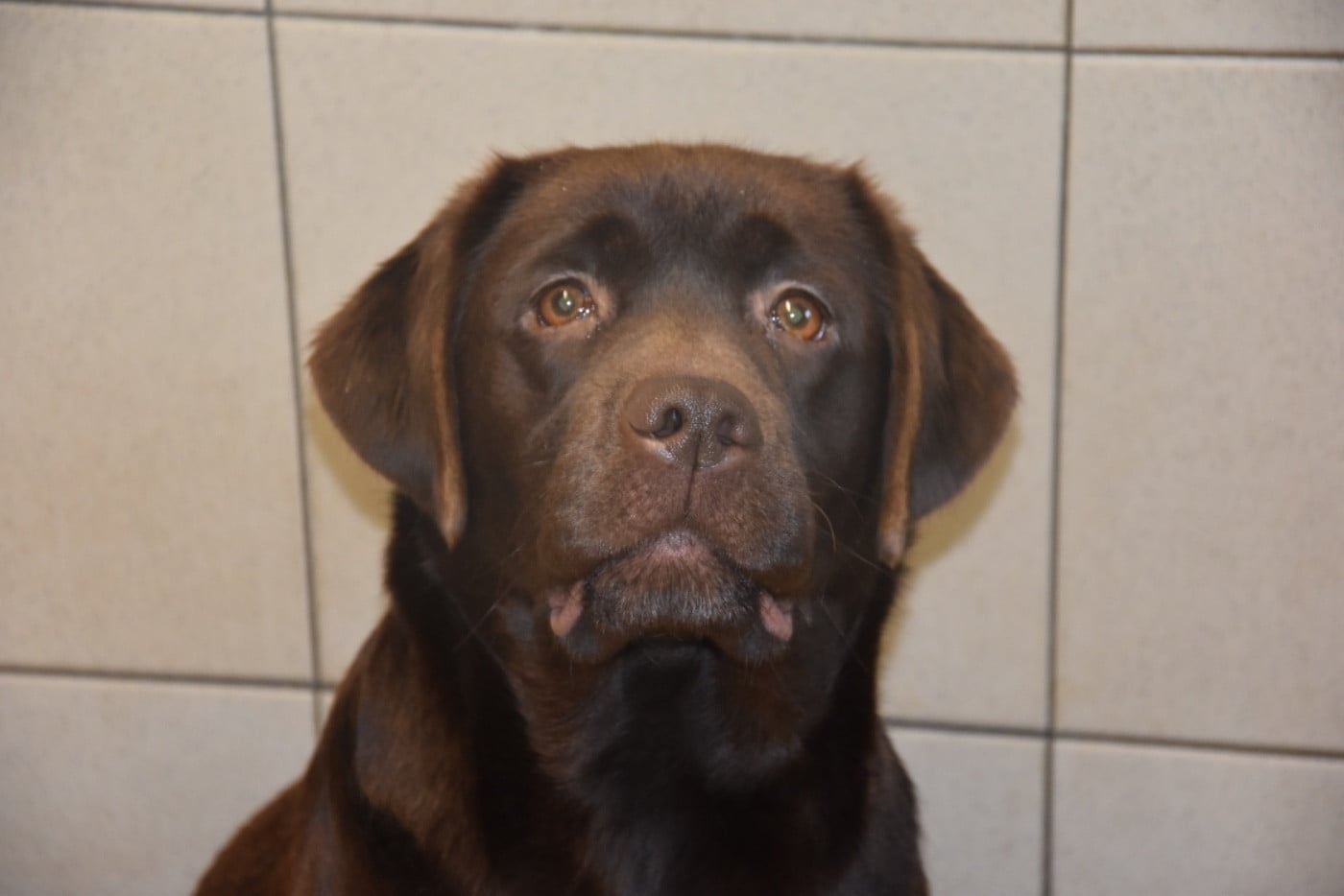 Publication : Du Grand Etricher